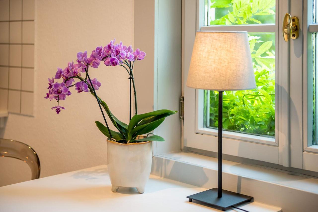 Ferienwohnung Am Dom Naumburg  Kültér fotó